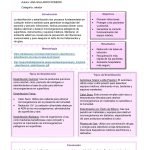 poster-Poster-Desinfeccion-y-Esterilizacion